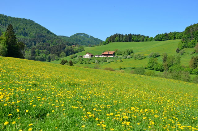 Am Weg, Blick zum nächsten Bauernhof.