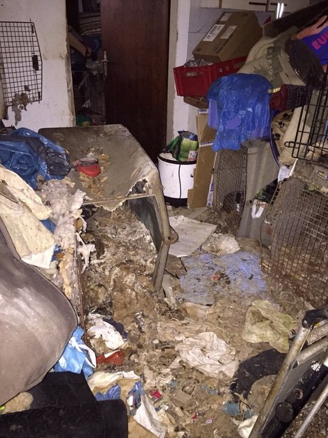 So sah das Haus im November 2014 aus, in dem eine Frau aus dem Bezirk Schärding 38 Hunde hat verhungern lassen. | Foto: Pfotenhilfe