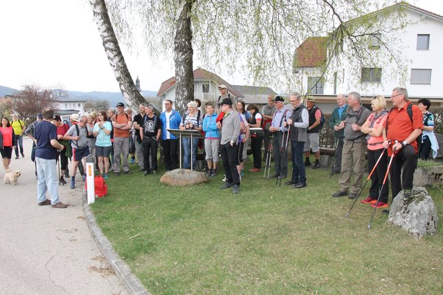 Viele Wanderfreudige waren mit dabei. | Foto: Foto: Bücherei Kleinzell