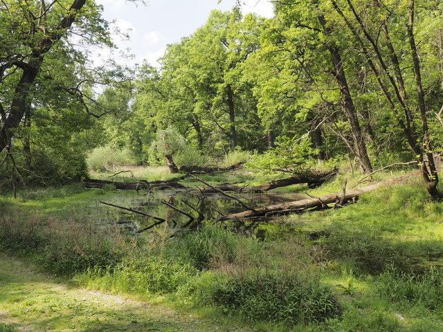 dahinwandern...beobachten und genießen