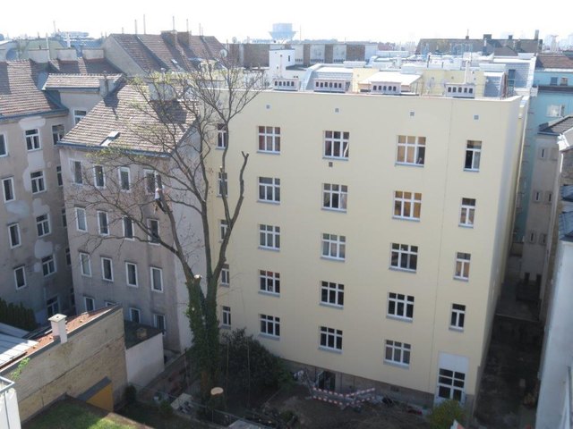 Die 120-jährige Esche im Innenhof wurde gefällt.