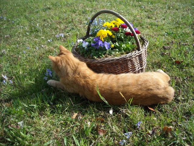 Moritz auf der Suche nach dem Frühling