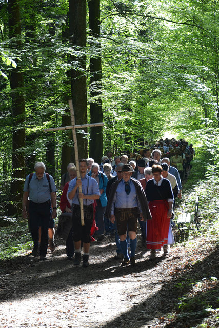 Die Wallfahrer auf ihrem Weg vom Mostheurigen Wagenöd zur Basilika am Sonntagberg.