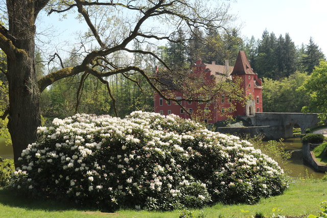 Ansicht vom Schlosspark mit den schönen Azaleen.