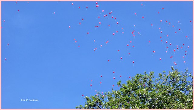 Sie sehen aus wie rote Spermien ;)))