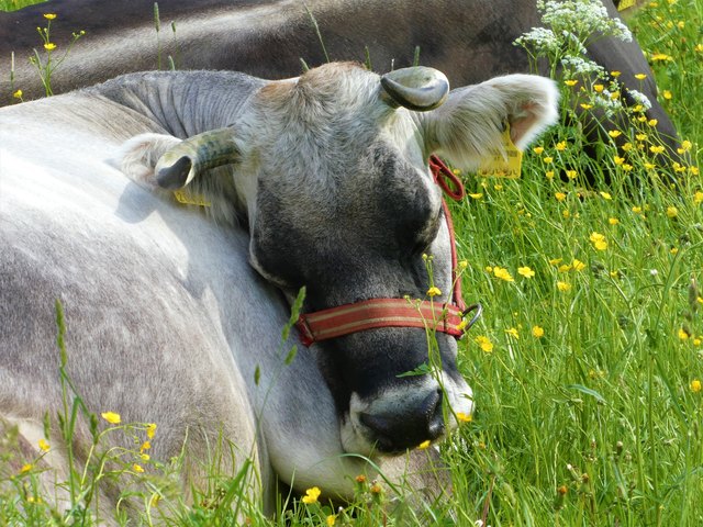 ... sind hier für die hübsche Dame garantiert