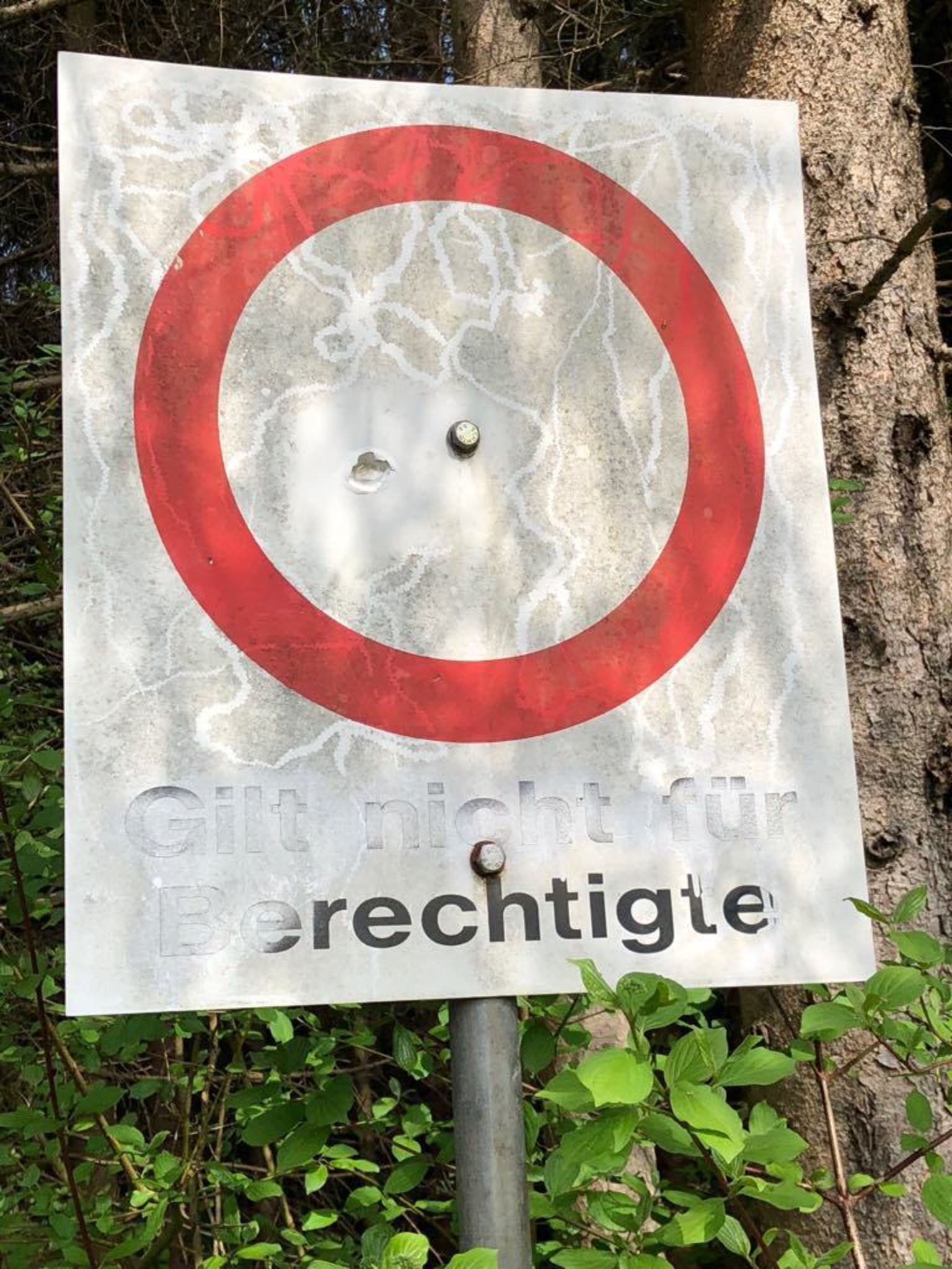 Chaos an der Gail Schütt Villach Land