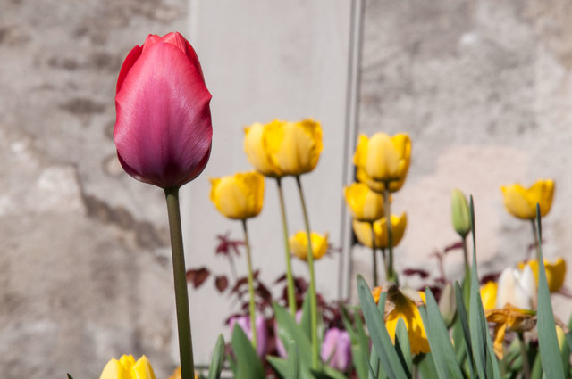 mal ein bißchen aus der Reihe tanzen