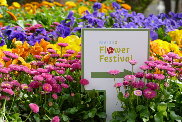 Flower Festival 2018 in Meran