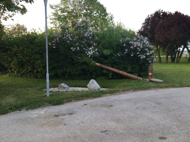 In einer Nacht- und Nebelaktion wurde der Baum umgesägt.