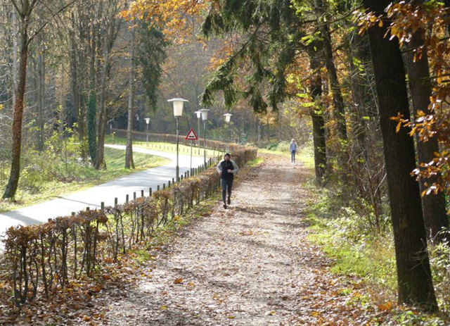Der Leechwald gilt als die beliebteste Laufstrecke der Grazer.