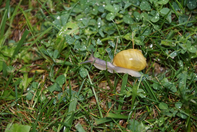 der erste Ausflug....