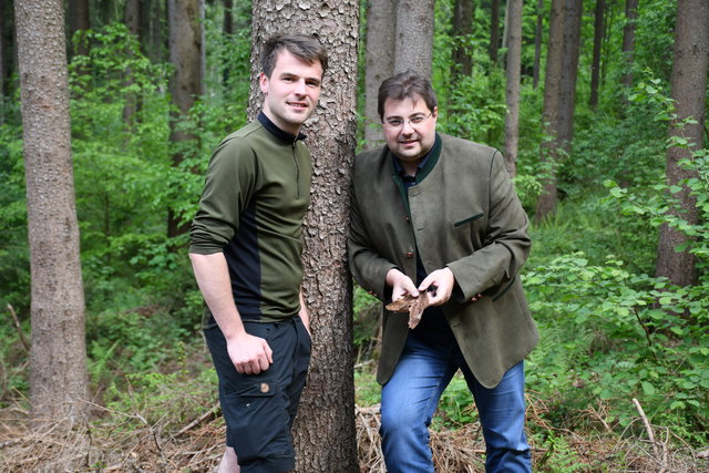 Rasches Handeln in Waidhofens Wäldern: Förster Georg Brenn und Vizebürgermeister Mario Wührer. | Foto: Stadt Waidhofen/Ybbs