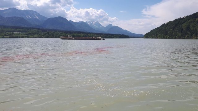 Das Schiff verlor große Mengen an Öl auf der Drau | Foto: FF Feistritz