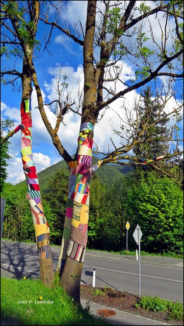 Die Baumstämme bekamen vorsorglich warme Strickkleidung ;)