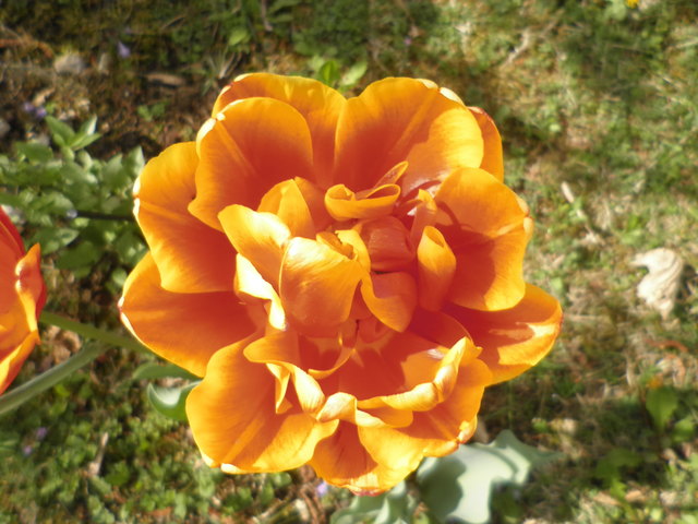 Frühlingserwachen in Oberwart