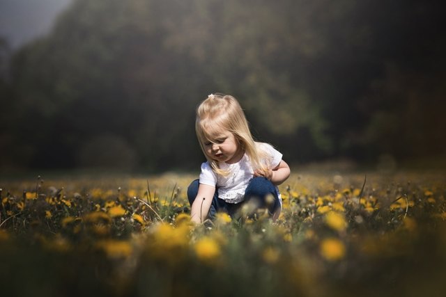 Emilia pflückt einen Strauß Löwenzahn
