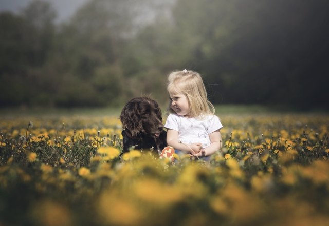 Emilia mit ihrer Jessy in einem Löwenzahn-Meer
