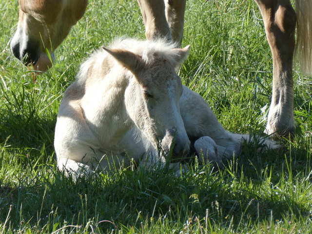 Umgeben von Liebe das Leben genießen