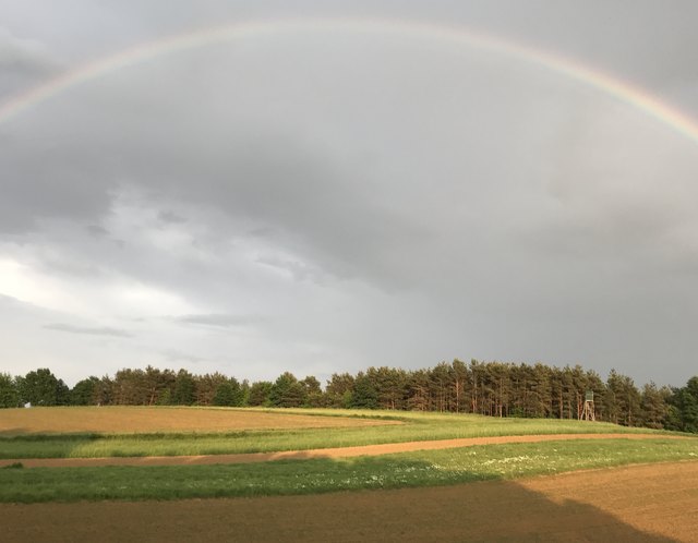 Regenbogen