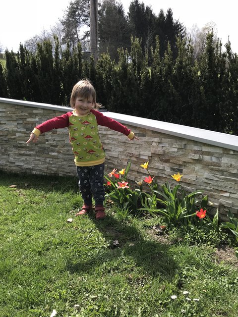 „Schaut meine schönen Tulpen an!“