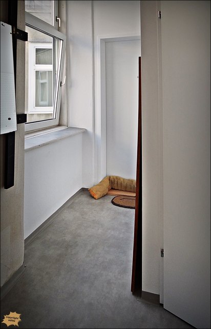 das neue Innen in Richtung Glastüre.