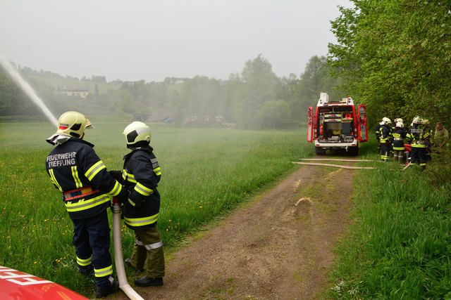 Foto: Herbert Denkmayr