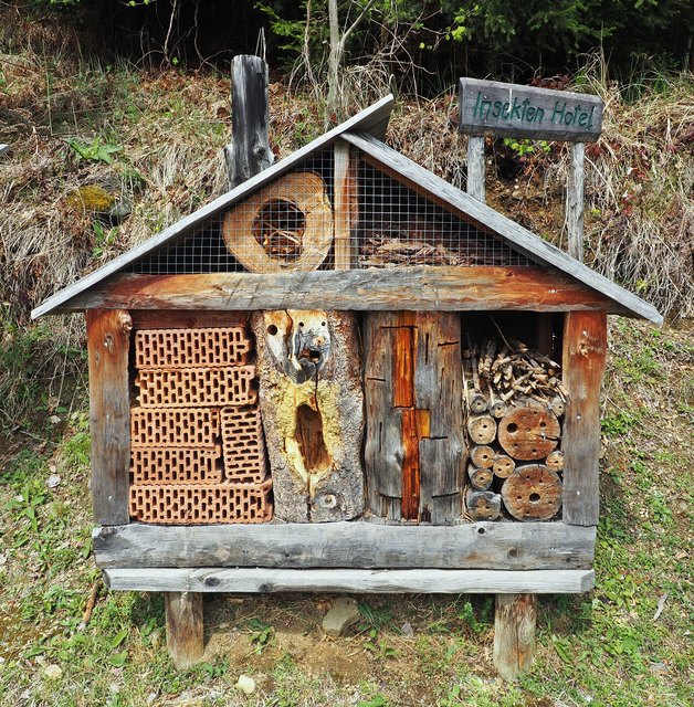 Ein prächtiges Insekten Hotel in der Rachau. Wertvoller Beitrag zum Naturschutz und wichtig zur Erhaltung des Insektenbestandes. Da drin fühlen sie sich sehr wohl.  Die Bewohner sind: Schmetterlinge, 
Florfliegen (auch andere Gattungen davon), Würmer, Wildbienen, Käfer und vieles mehr...:-)