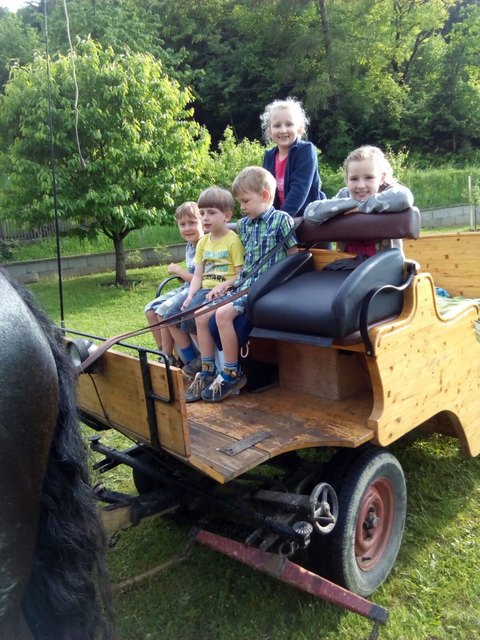 Eine Kitschenfahrt ins Grüne