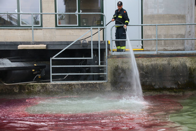 Ein 30 Kilometer langer Ölteppich zieht sich auf der Donau. | Foto: FOTOKERSCHI.AT / KASTNER