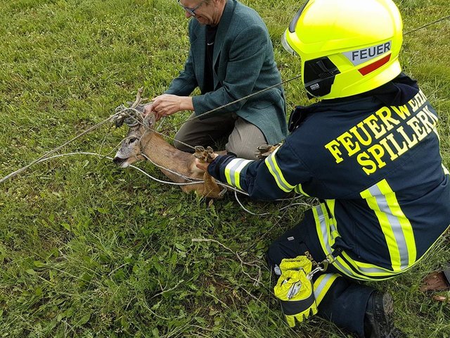 Foto: Freiwillige Feuerwehr Spillern