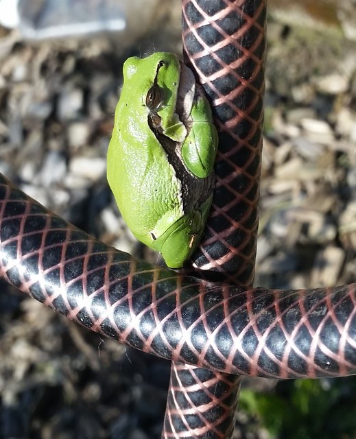 Endlich Frühling :-)