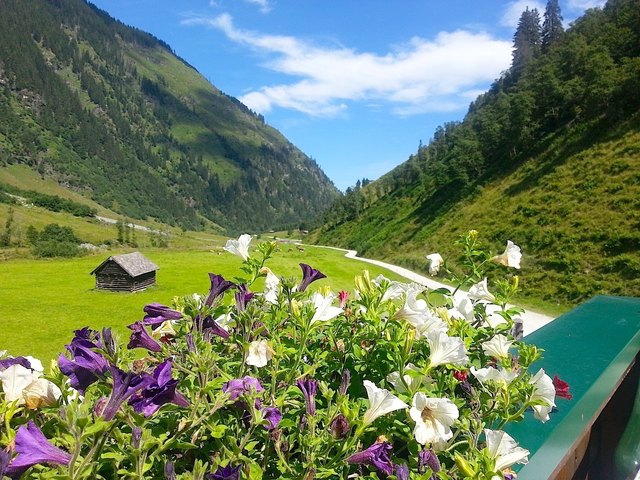 Pinzgau – Senningeralm: Die Gehzeit für den Wanderweg zur Senningeralm – sie gehört zu den prämierten Almsommerhütten im Oberpinzgauer Hollersbachtal – beträgt ca. 2 Std. Mountainbikern und Tälertaxis steht ein Forstweg zur Verfügung, Wanderern wird der Bachlehrweg empfohlen. | Foto: Christa Nothdurfter