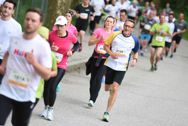 Foto: Wolfgang Spitzbart