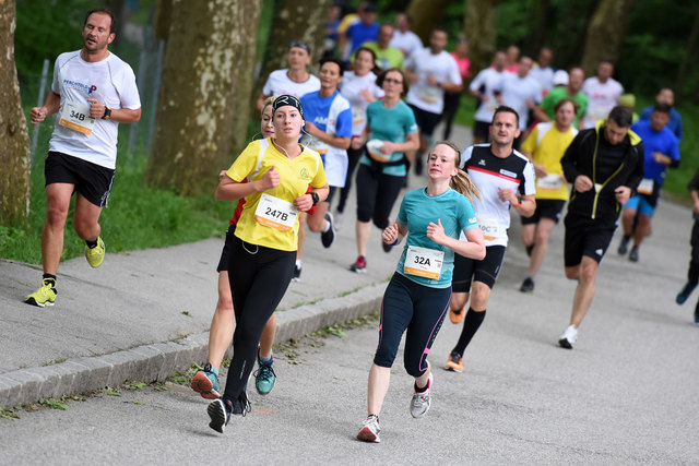 Foto: Wolfgang Spitzbart