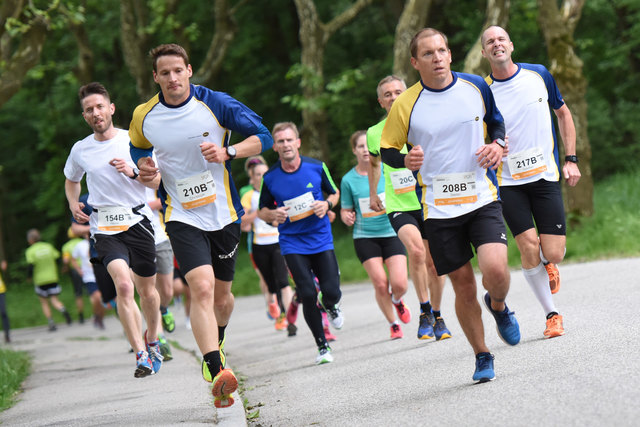 Foto: Wolfgang Spitzbart