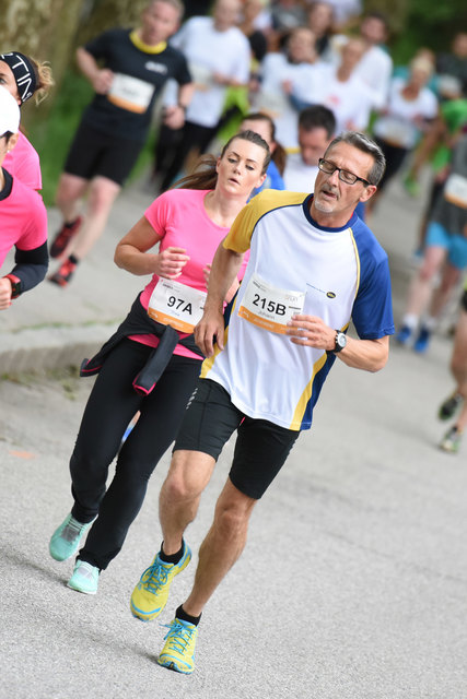 Foto: Wolfgang Spitzbart