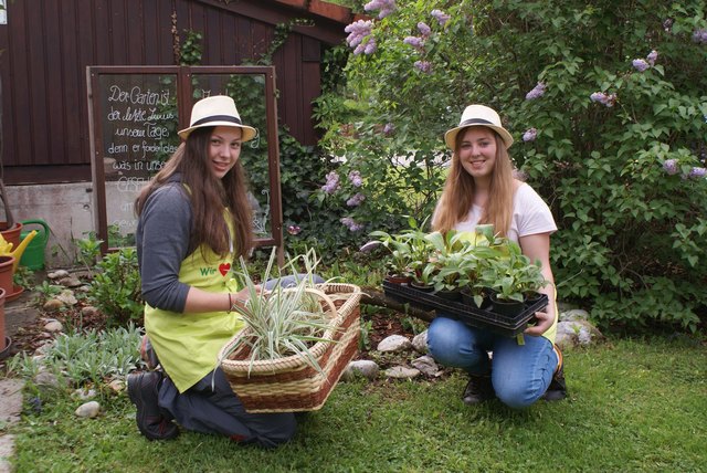 Die Schülerinnen Sarah Handl und Michelle Bachner genießen ihre Ausbildung im Bildungszentrum Gaming. | Foto: LFS Gaming