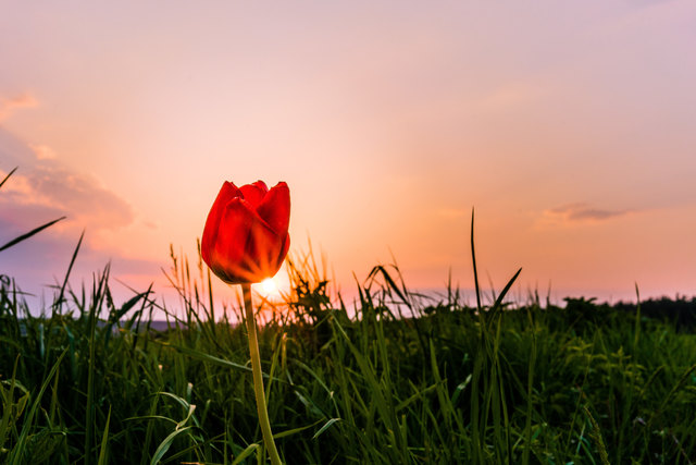 Abendsonne genießen...