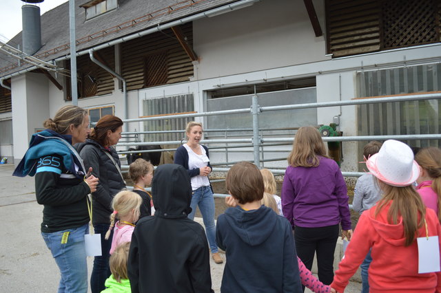 Beim Erlebnisfest an der HBLFA Raumberg-Gumpenstein konnten Kinder spielerisch die Umwelt erkunden.