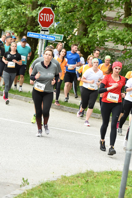 Foto: Wolfgang Spitzbart