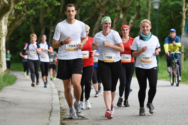 Foto: Wolfgang Spitzbart