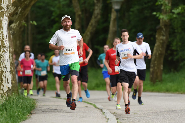 Foto: Wolfgang Spitzbart