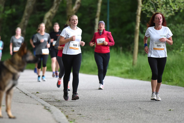 Foto: Wolfgang Spitzbart