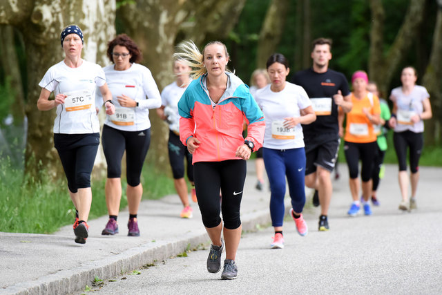 Foto: Wolfgang Spitzbart