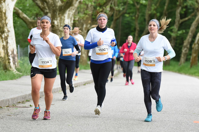 Foto: Wolfgang Spitzbart