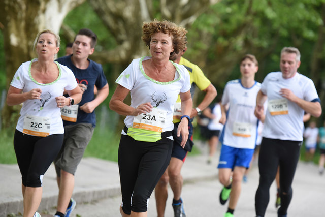 Foto: Wolfgang Spitzbart