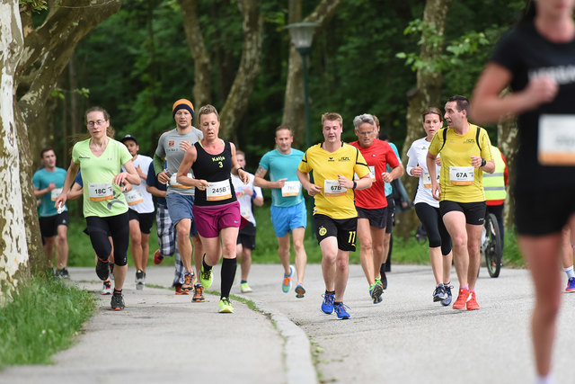 Foto: Wolfgang Spitzbart