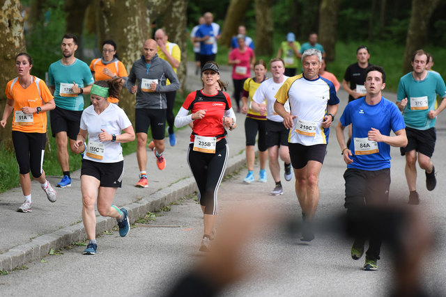 Foto: Wolfgang Spitzbart