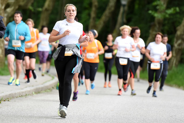 Foto: Wolfgang Spitzbart